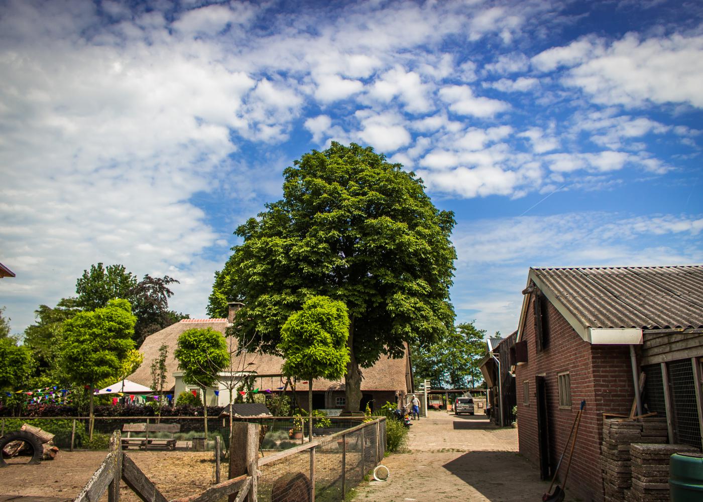 Voorkom ziek worden op de zorgboerderij