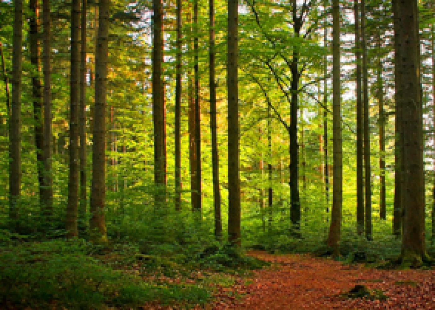 Publieksagressie in bos en natuur? Digitaal Werkboek VBNE helpt