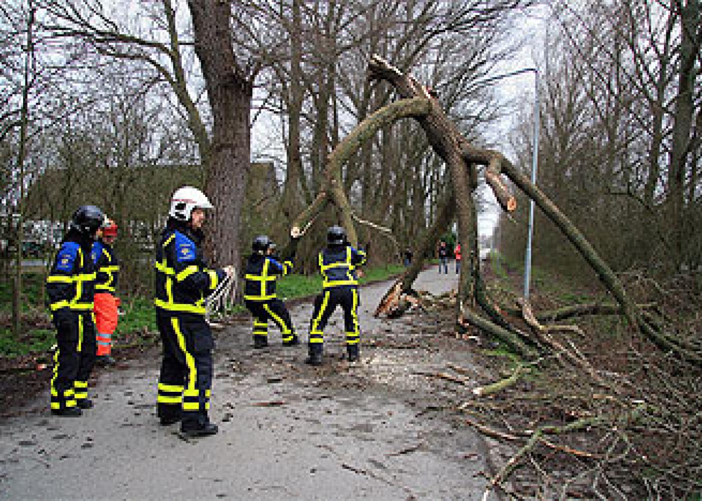 Stormschade veilig herstellen