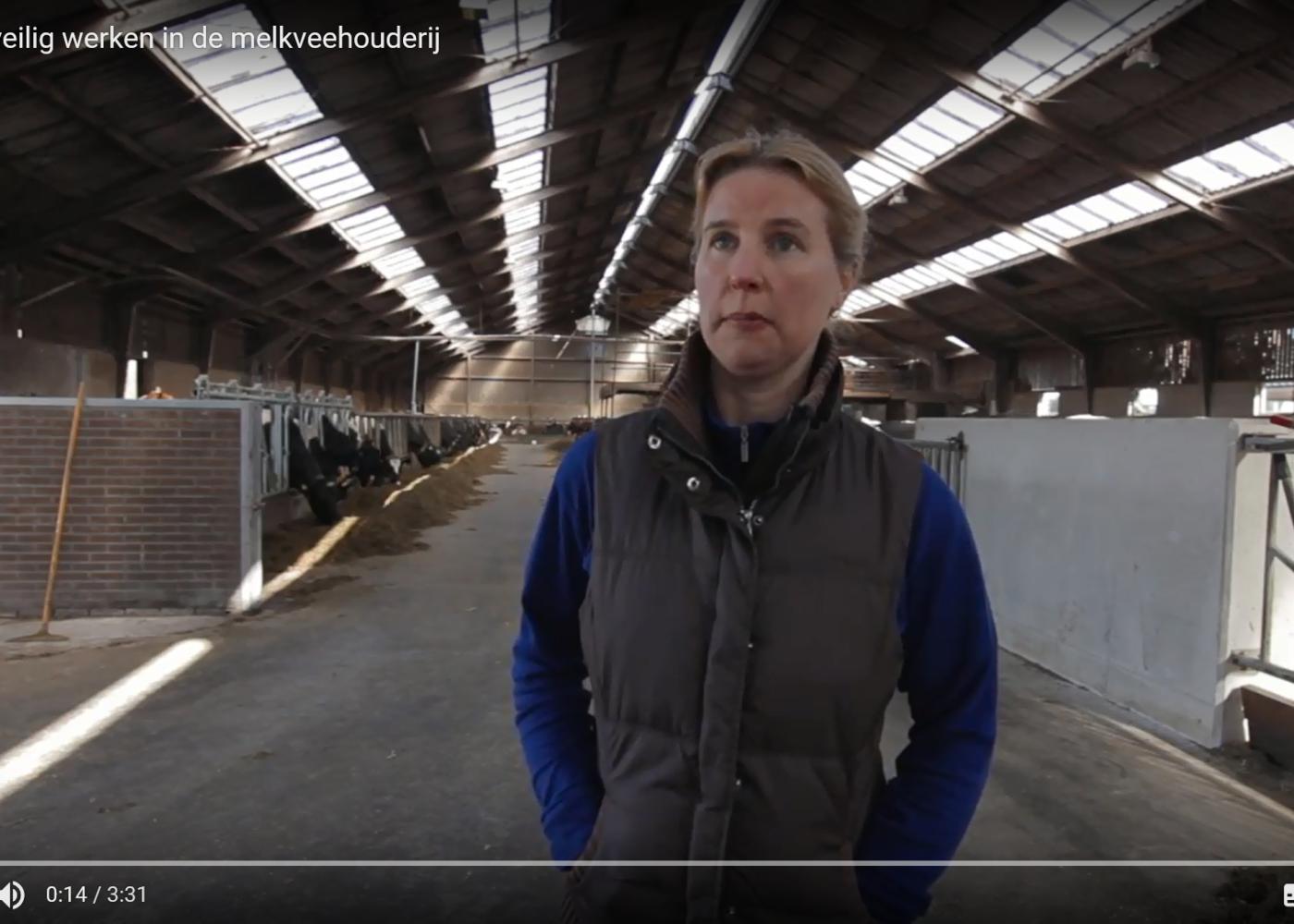 Campagne ‘Gezond en veilig werken in de melkveehouderij’