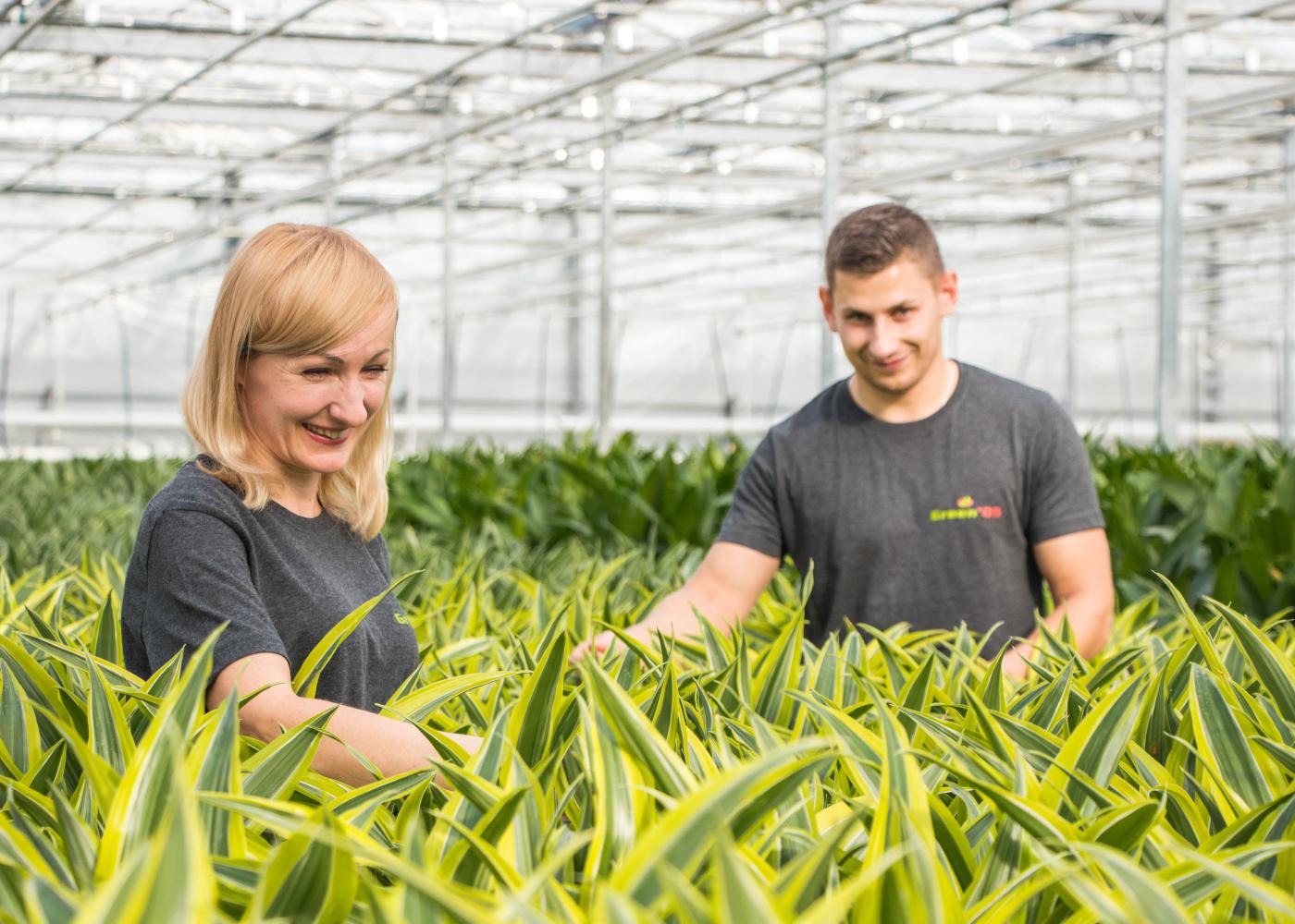 Green 05 over het preventief medisch onderzoek