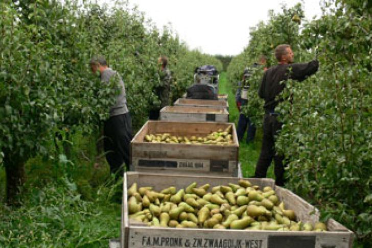 Lichamelijke belasting
